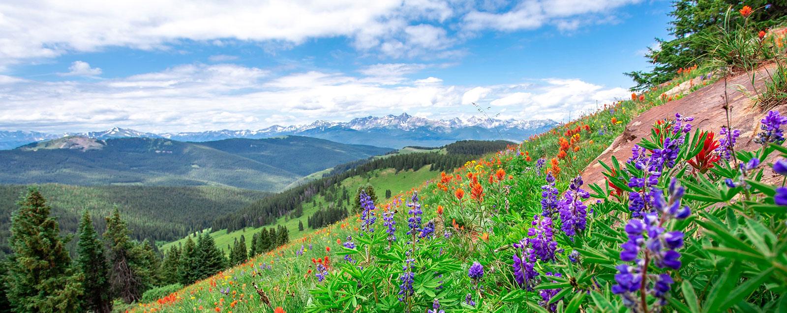 Vail Real Estate Vail Colorado Properties Vail Luxury Homes